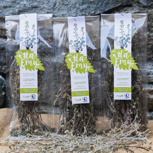 Génépy seedlings