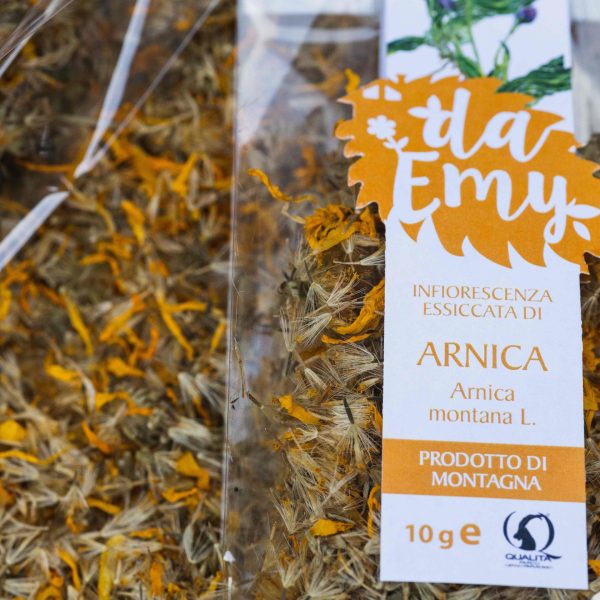 Semis d'arnica – Image 2