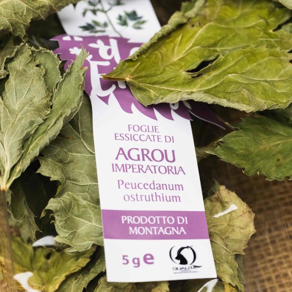 agrou imperatoria