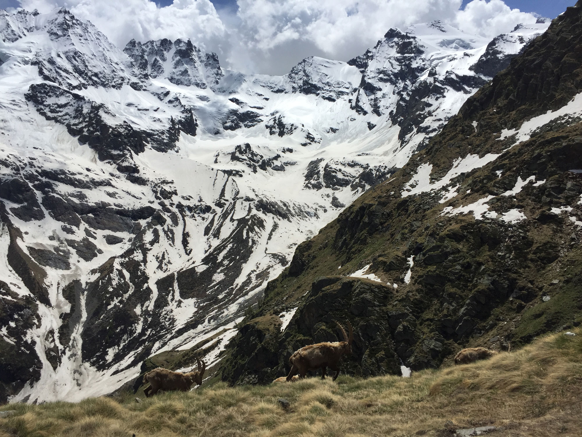 branco e gran paradiso - valle d'Aosta