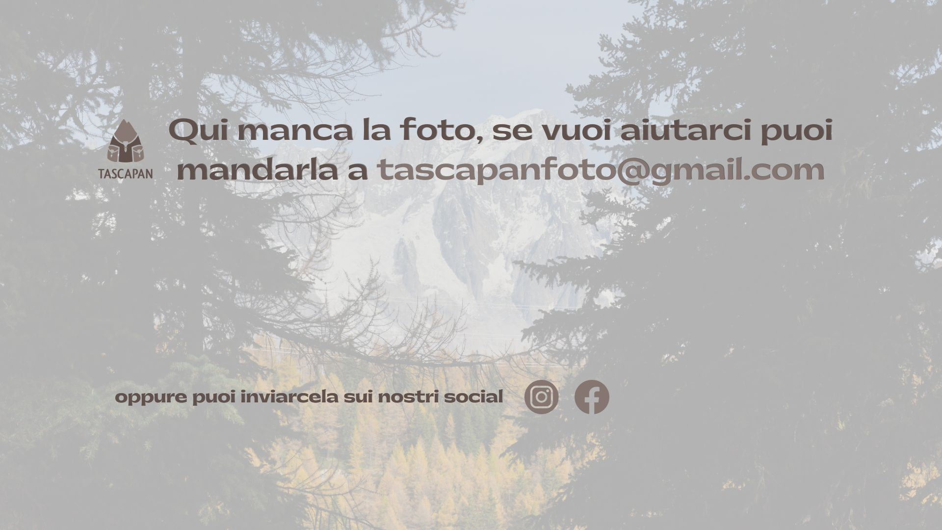 foto mancante copertina