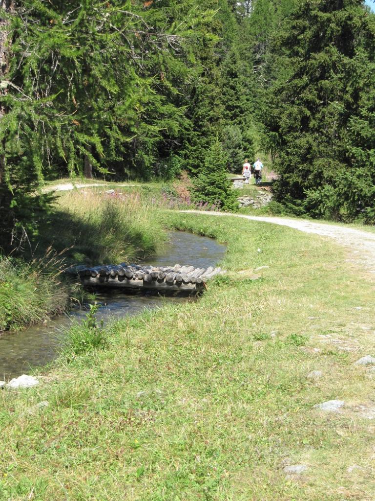 courtod-ru-da-barmasc-percorso-lungo-il-canale-della-montagna_f5e7