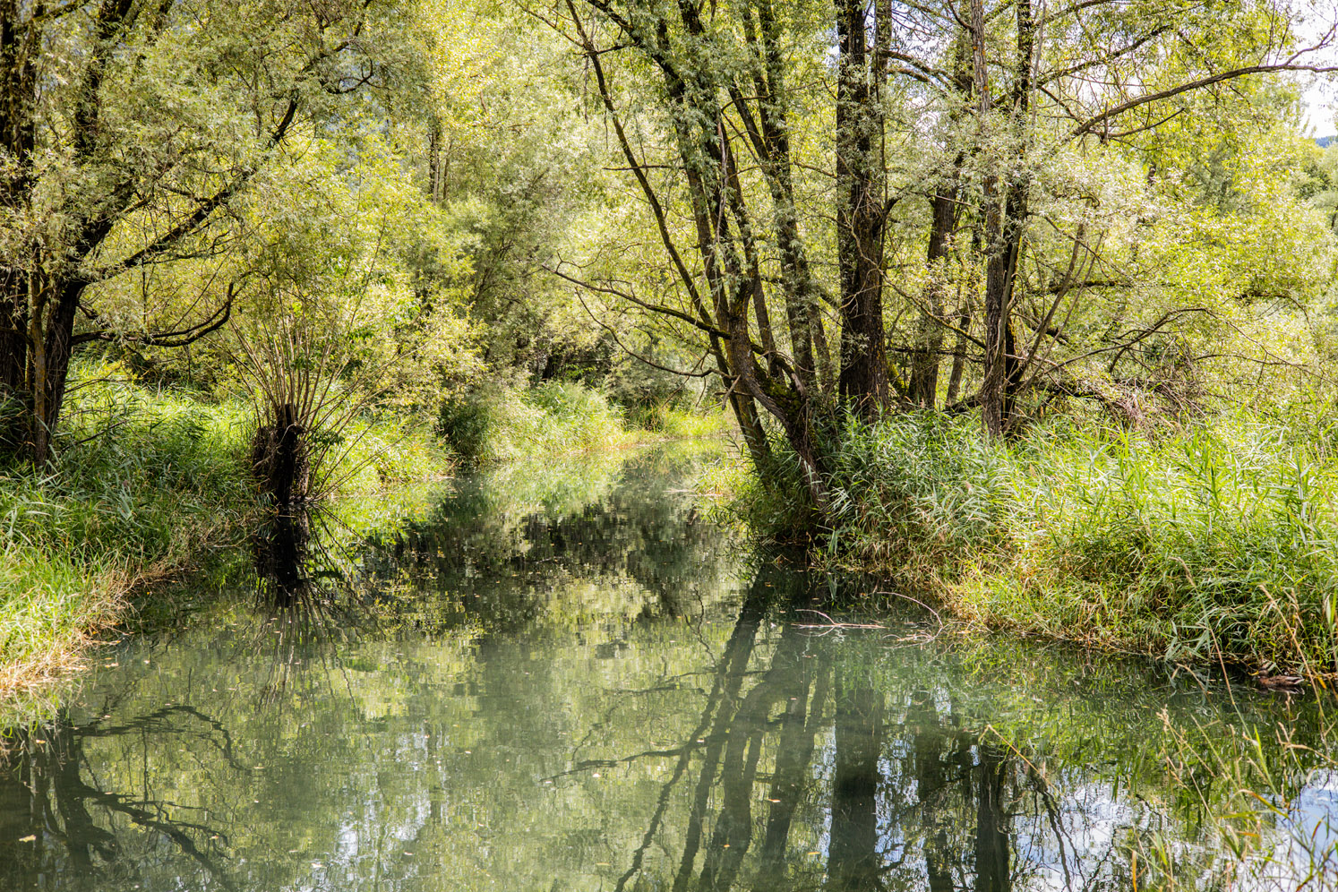 Riserva Naturale del Marais la Salle Riserva Naturale del Marais la Salle