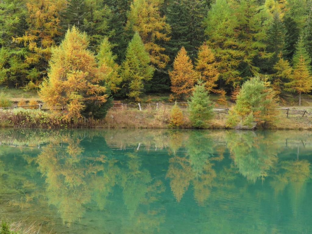 Lago di joux Tascapan