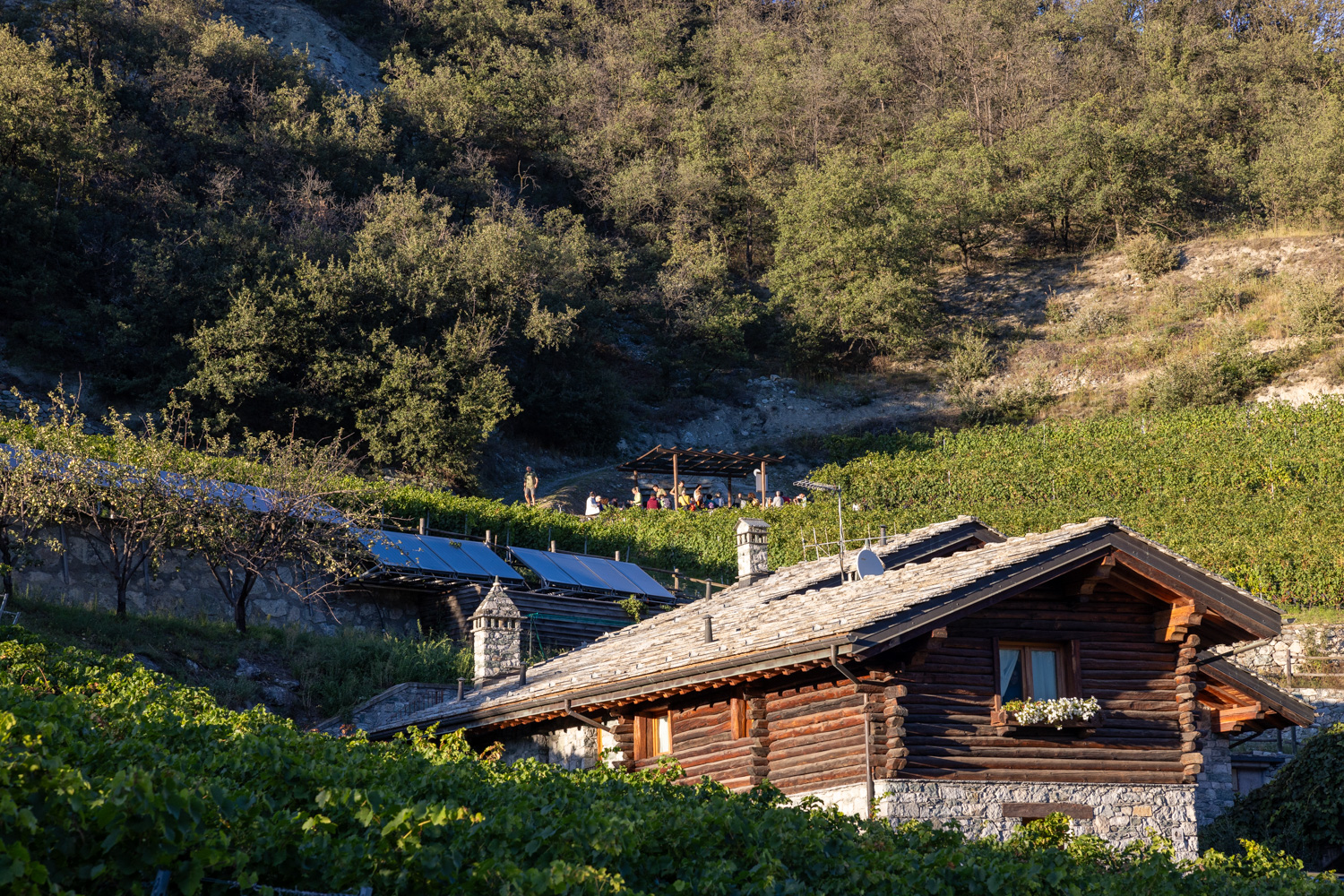 la-vrille-gourmet-09-2024-13